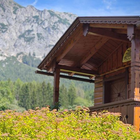 그뢰브밍 Haus Adler 게스트하우스 외부 사진